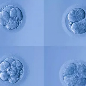 黄体功能不足有什么危害？ 供卵代孕套餐多少钱